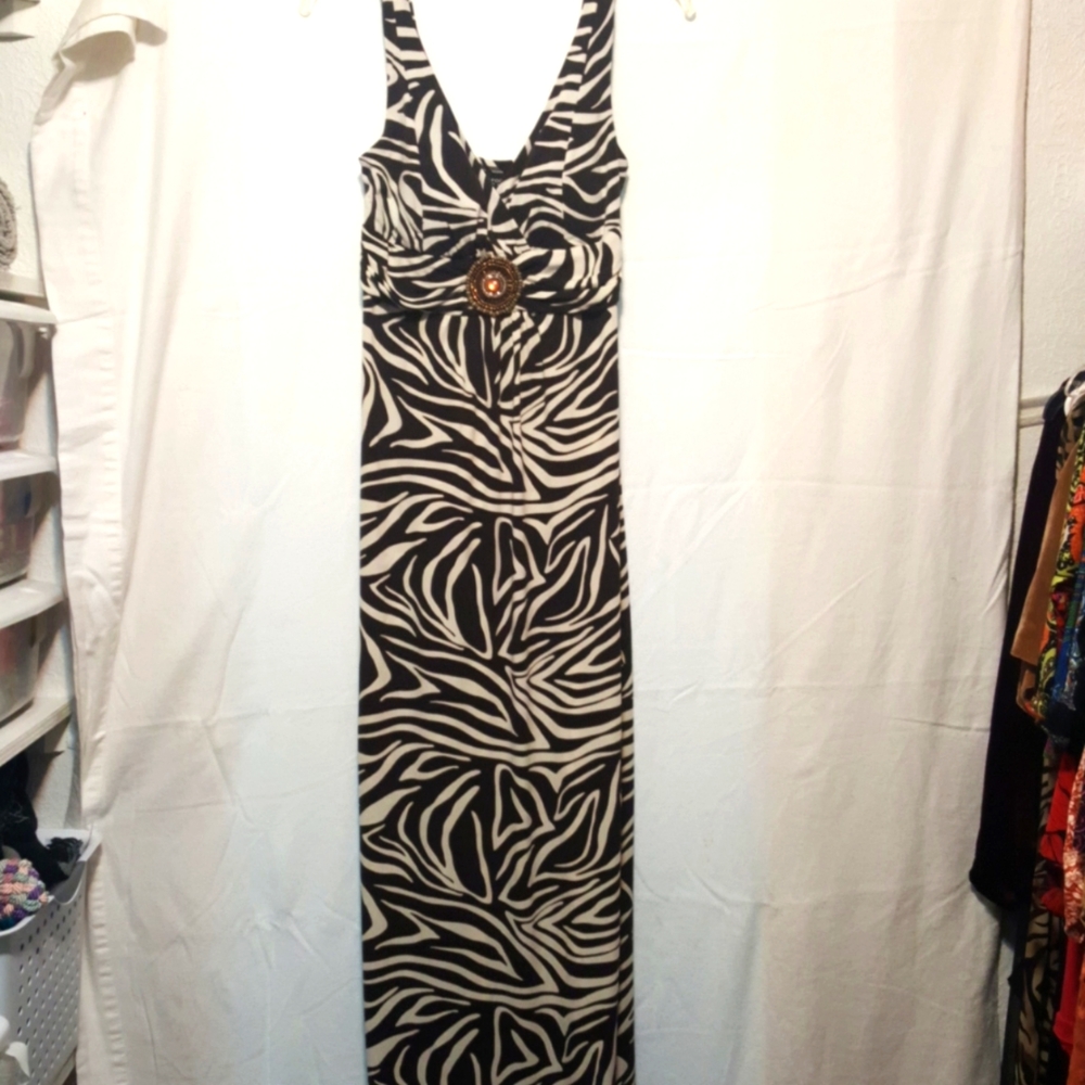 Maxi Zebra Print Dress